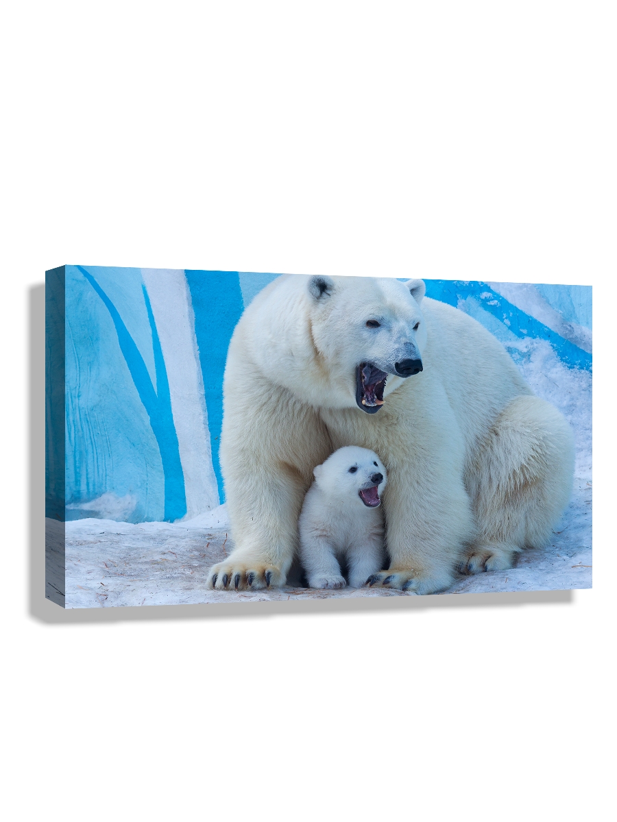 

Картина DRABS 50x30 см на холсте Белая медведица учит медвежонка рычать