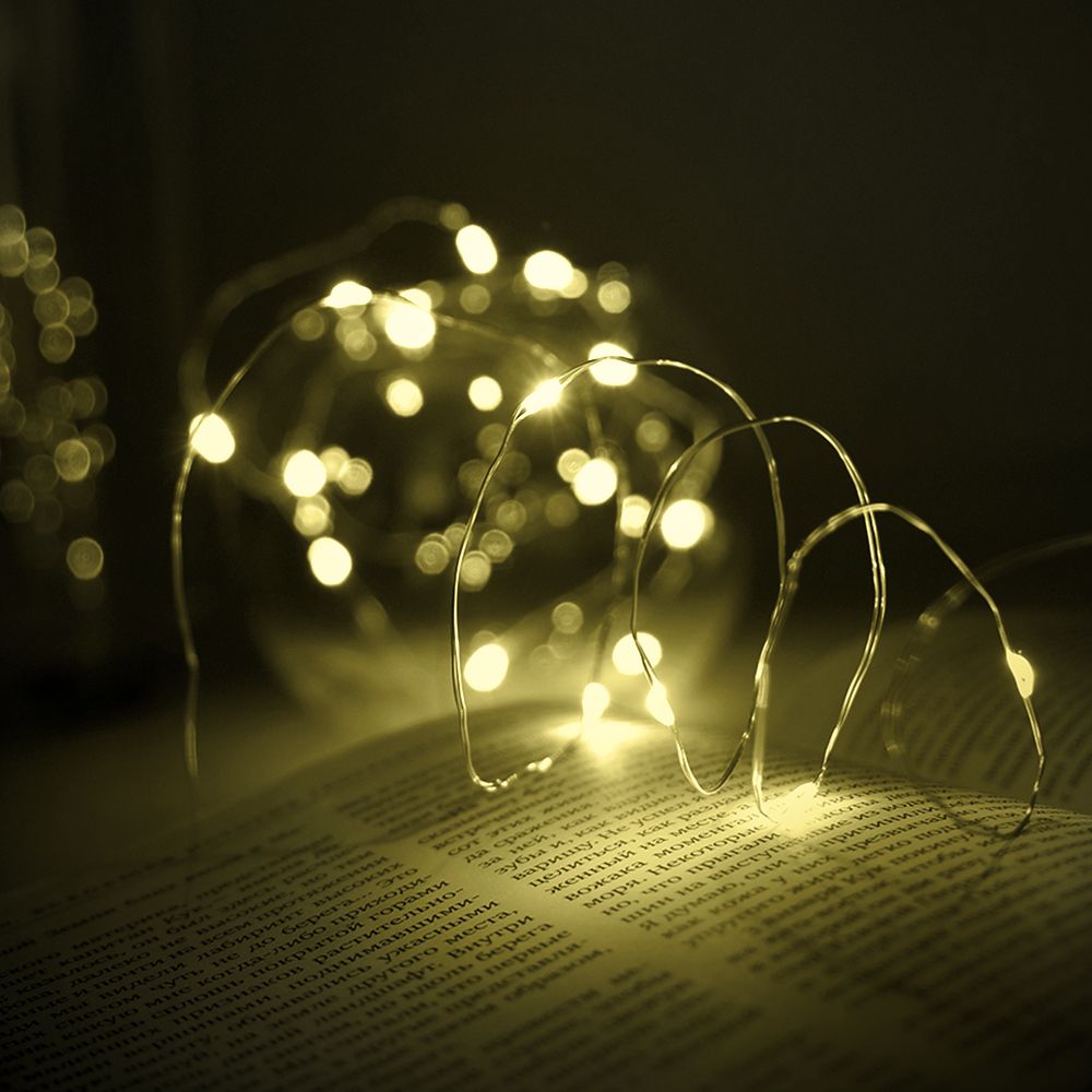 

Гирлянда нить SH LIGHTS 20 LED теплый белый 1,9 м