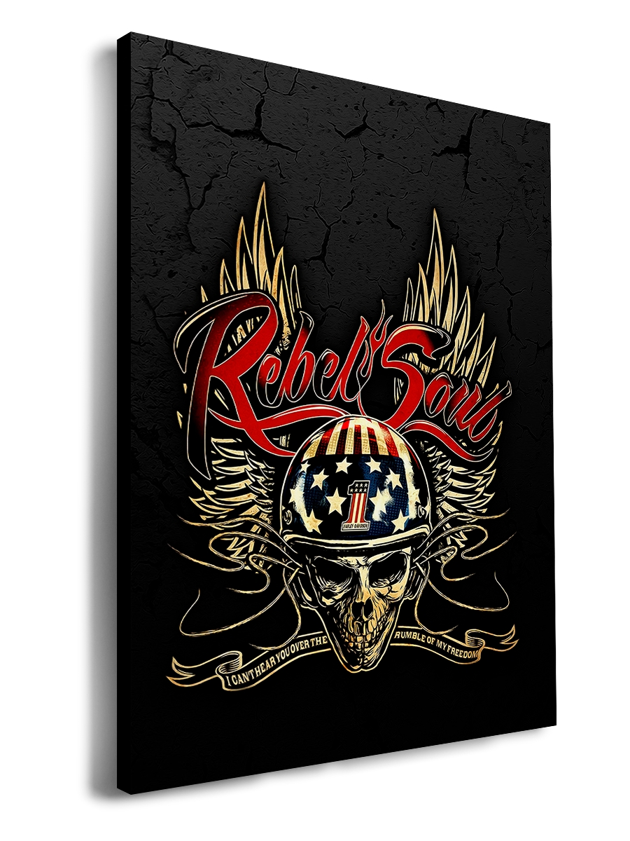 

Картина DRABS 50x30 см на холсте Rebel Soul
