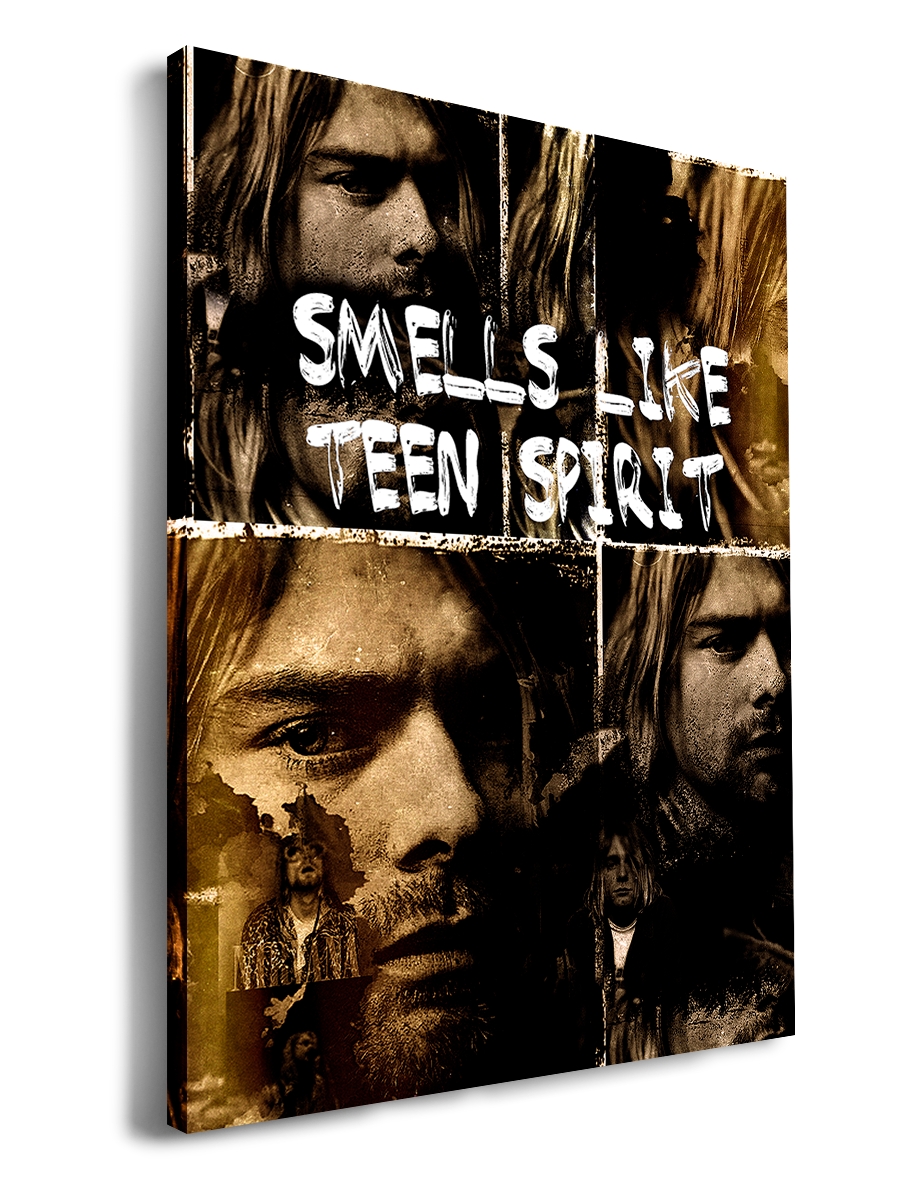 

Картина DRABS 50x30 см на холсте Smells like teen spirit
