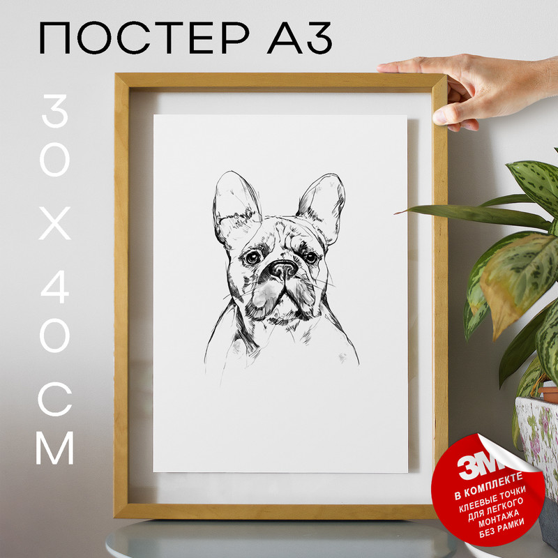 

Плакат Собаки - French Bulldog А3 DSPpp02975 30х40, рамка А3, DSPpp02975