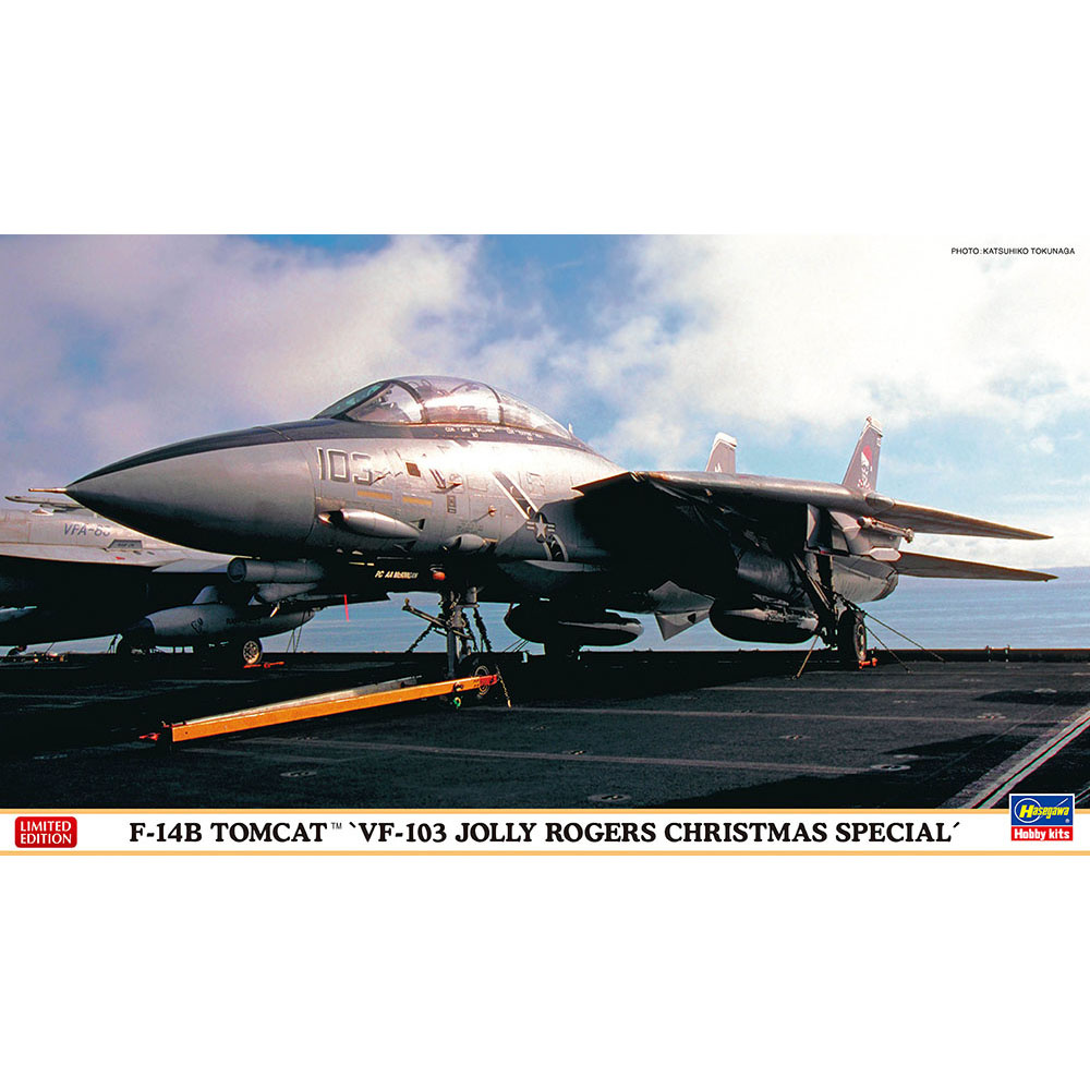 

Сборная модель Hasegawa 1/72 F-14B Tomcat VF-103 Jolly Rogers Christmas Special