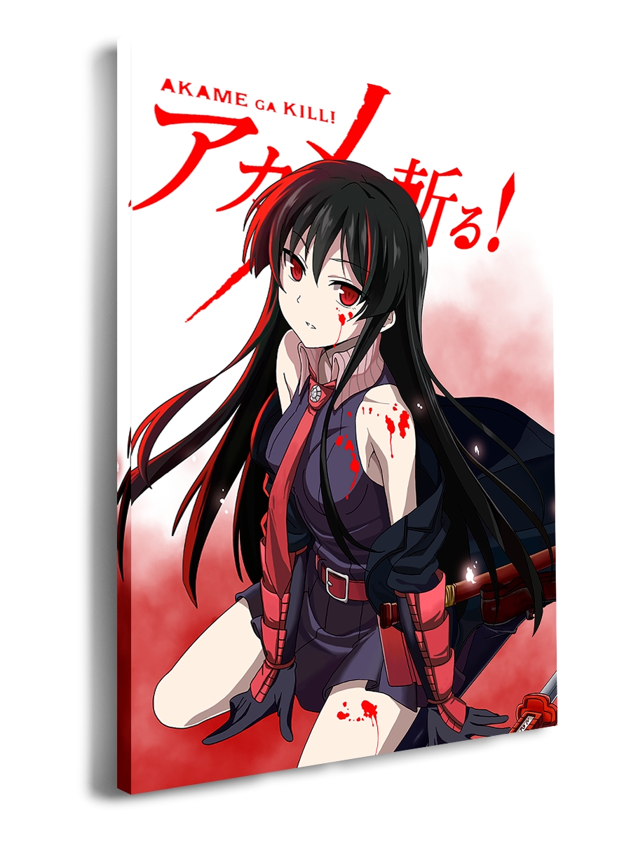 

Картина DRABS 50x30 см на холсте Akame ga Kill