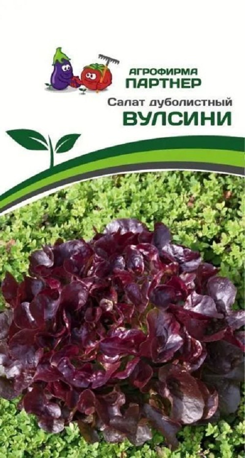 Семена зелени Агрофирма Партнер Салат дуболистный Вулсини 34806 1 уп