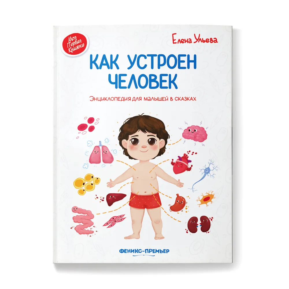 

Как устроен человек