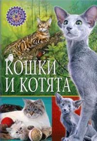 

Кошки и котята