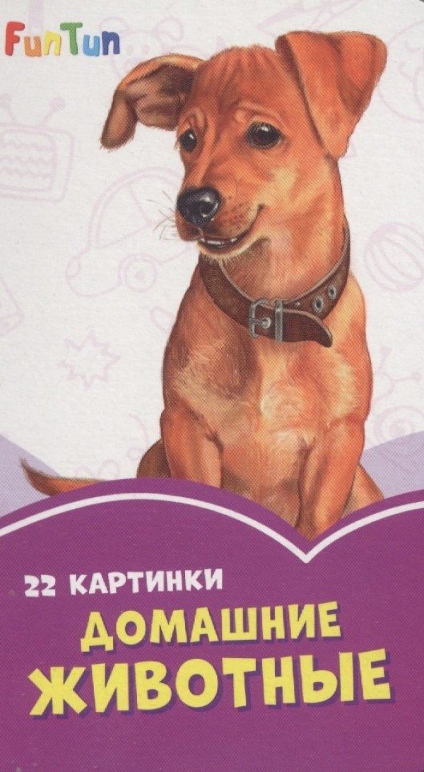 

Домашние животные