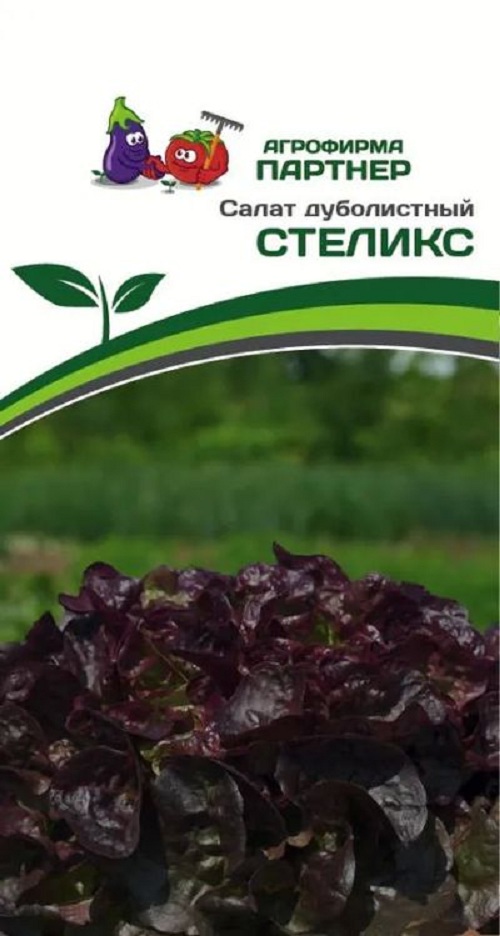 Семена зелени Агрофирма Партнер Салат дуболистный Стеликс 34807 1 уп