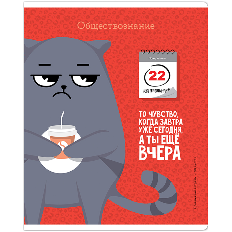 

Тетрадь предметная ArtSpace Котоцинизм, Обществознание, 332207, 48 листов, 10 шт.