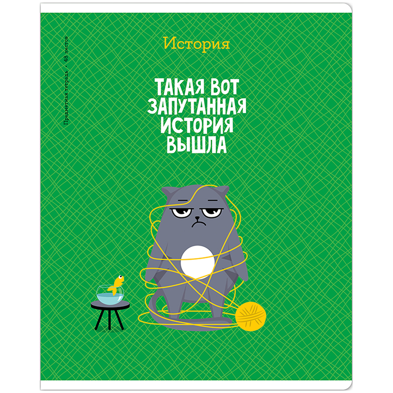 

Тетрадь предметная 48л. ArtSpace "Котоцинизм" - История, ТВИН-лак (арт. 332206) - 10 шт.