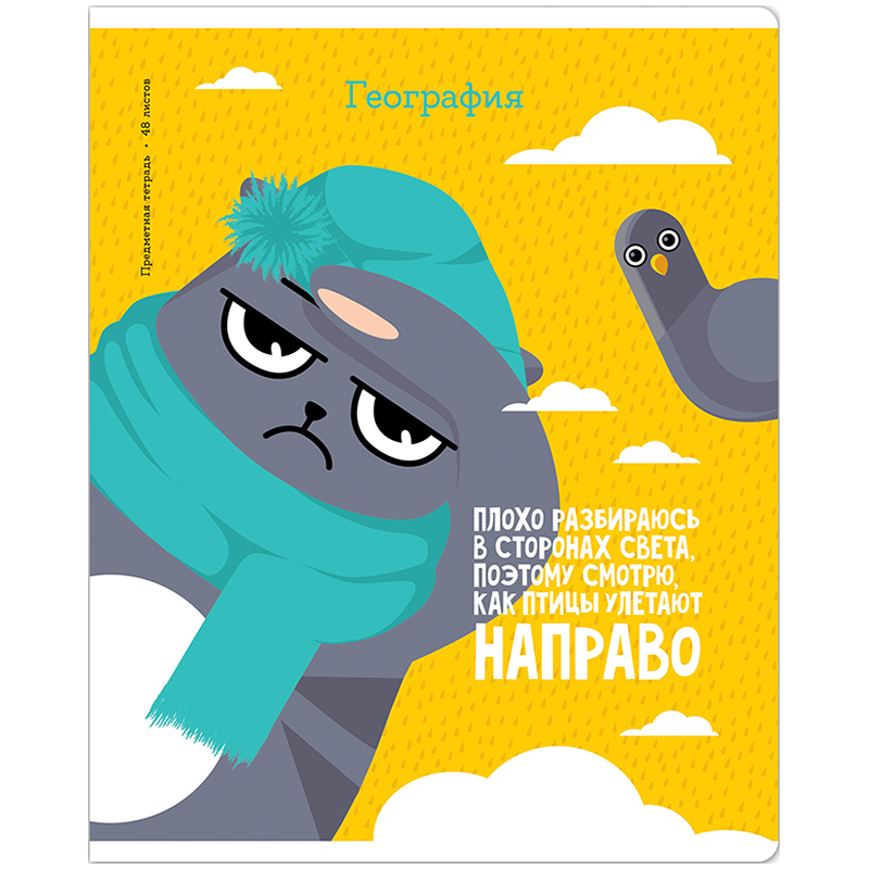 

Тетрадь предметная 48л. ArtSpace "Котоцинизм" - География, ТВИН-лак (арт. 332204) - 10 шт.