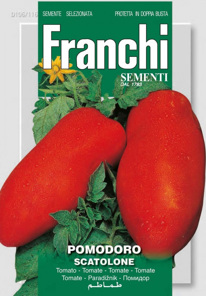 

Семена томата Скаталоне, Franchi Sementi, Италия, Скаталоне