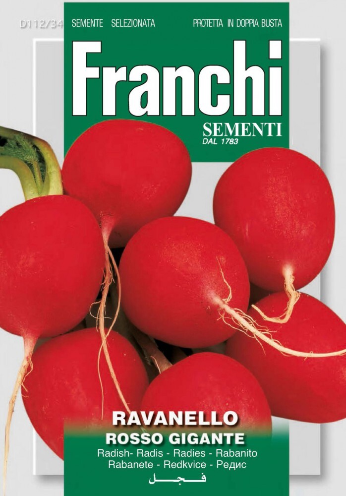 

Семена редиса Масляный великан, Franchi Sementi, Италия, Масляный великан