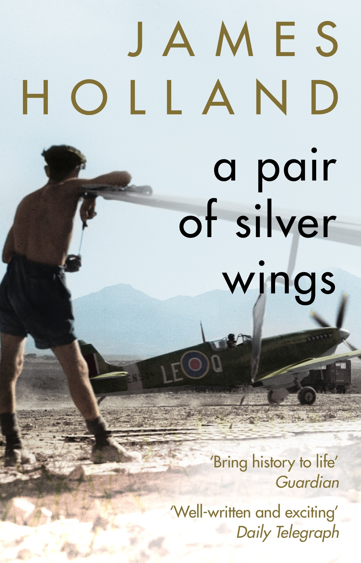 

A Pair of Silver Wings