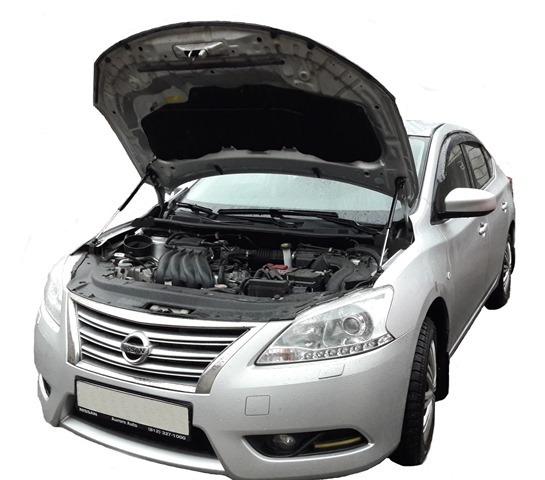 

Амортизатор (упор) капота / газлифт для Nissan Sentra B17 2014-19, Черный, Nissan Sentra B17 2014-19