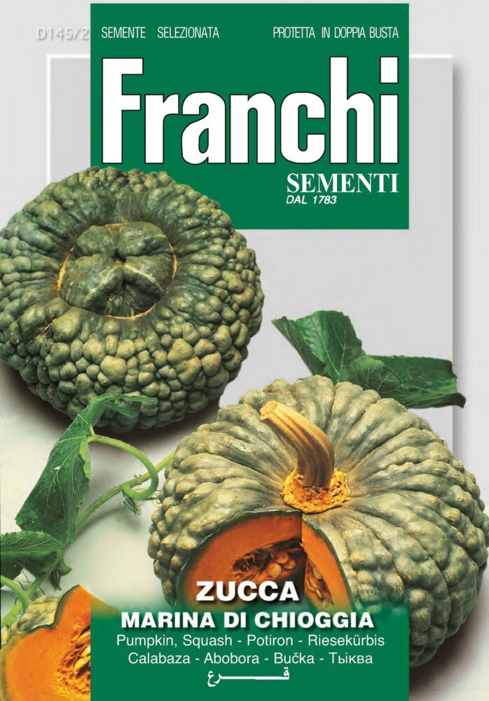 

Семена тыквы Марина из Киоджи, Franchi Sementi, Италия, Марина из Киоджи