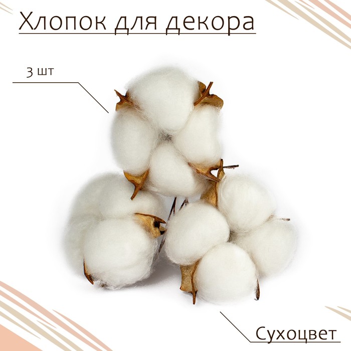 

Сухоцвет "Хлопок" белый, 6x6 см, 3 шт