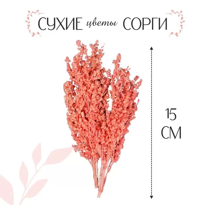 

Сухоцветы "Сорги", розовый, 5 г