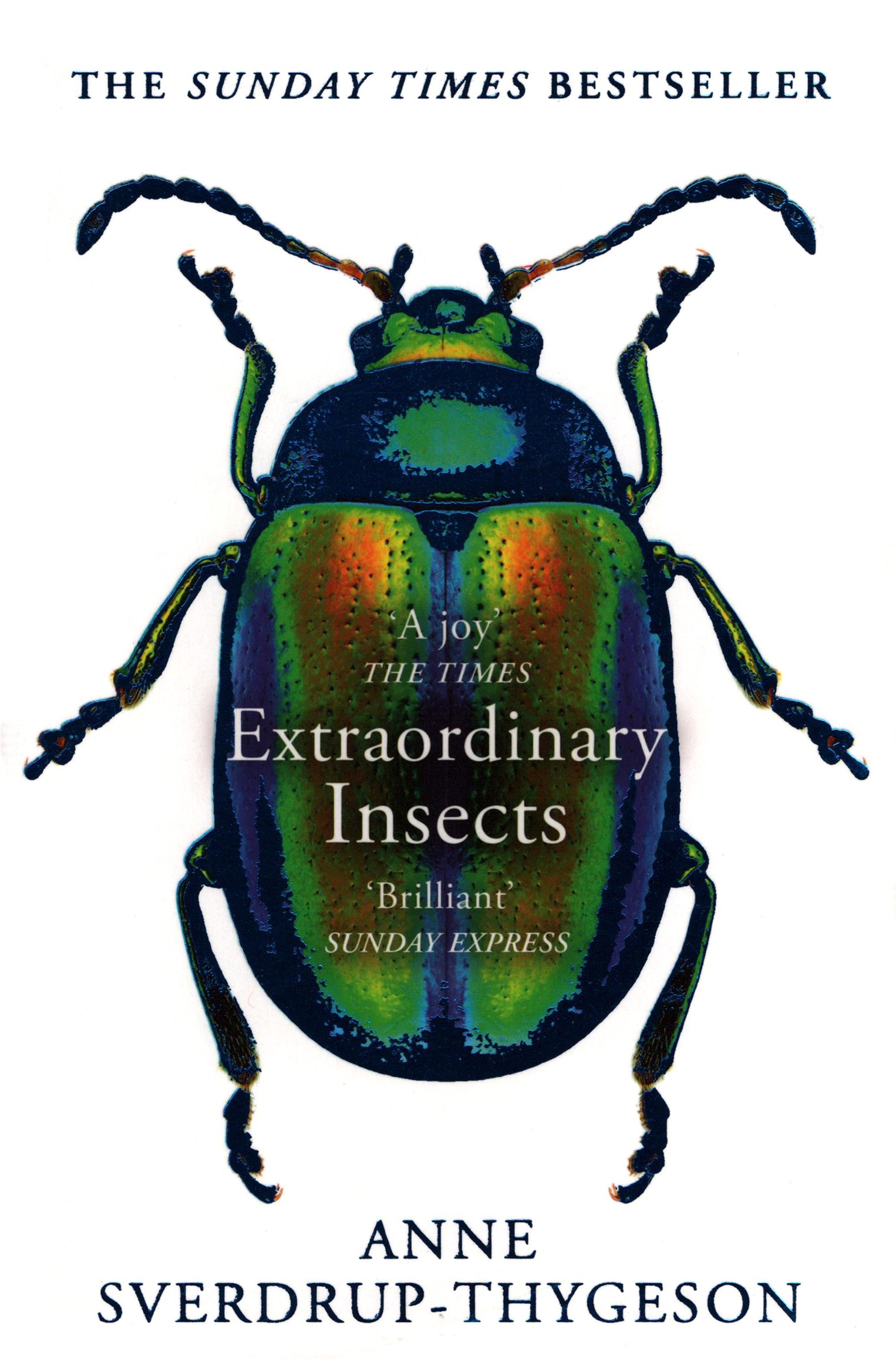 

Extraordinary Insects Weird Wonderful Indispensable The ones who run our world