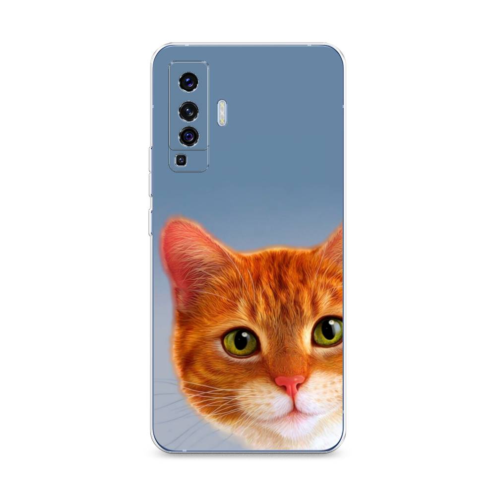 

Чехол на Vivo X50 "Любопытный котик", Коричневый, 262250-1