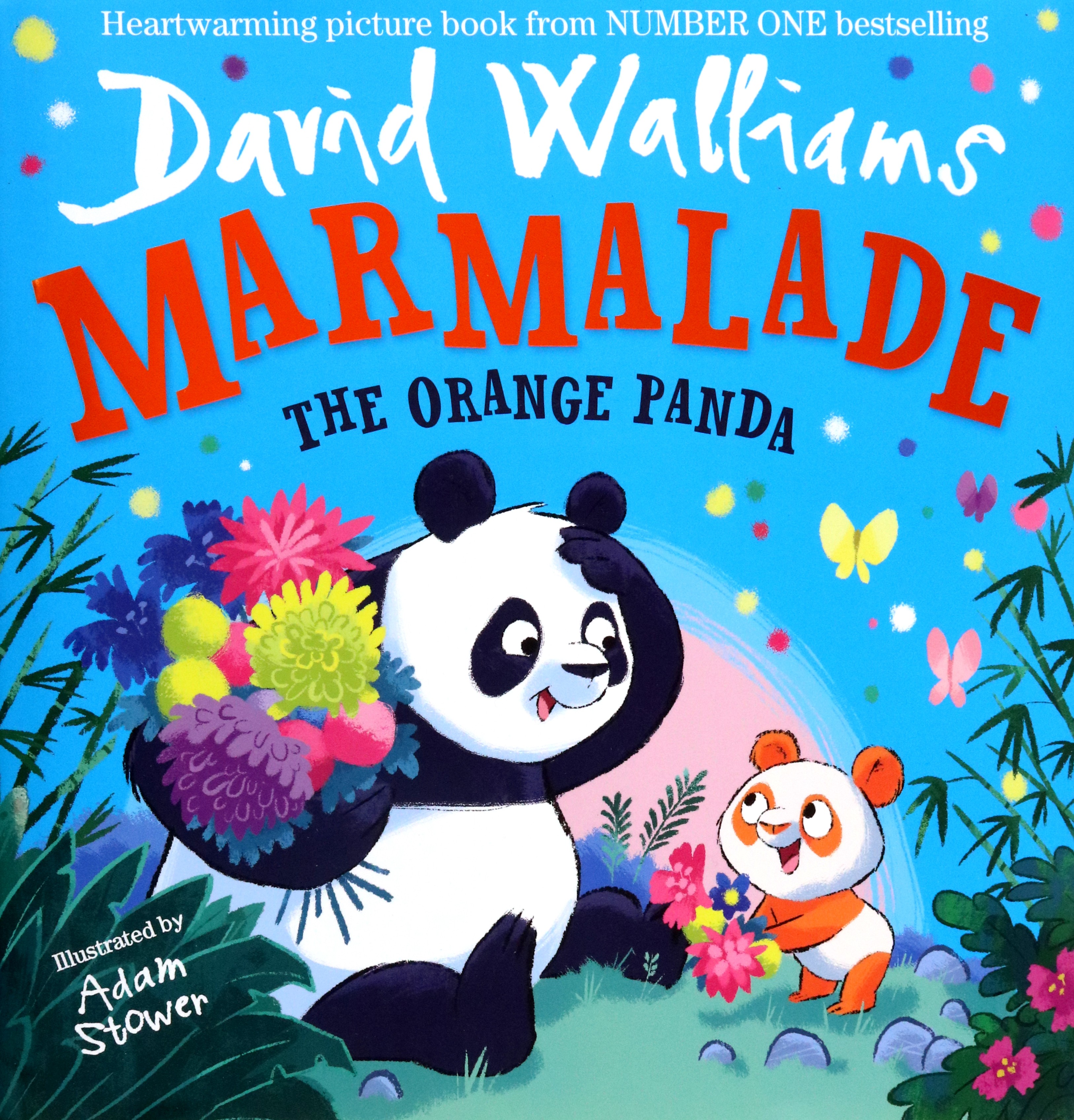 

Marmalade The Orange Panda