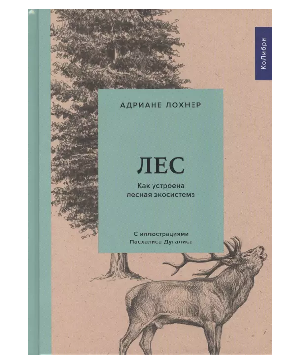 

Книга Лес