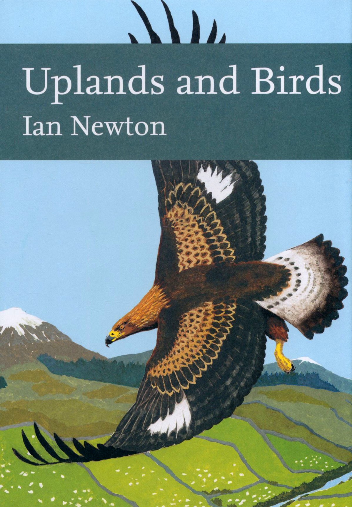 

Uplands And Birds
