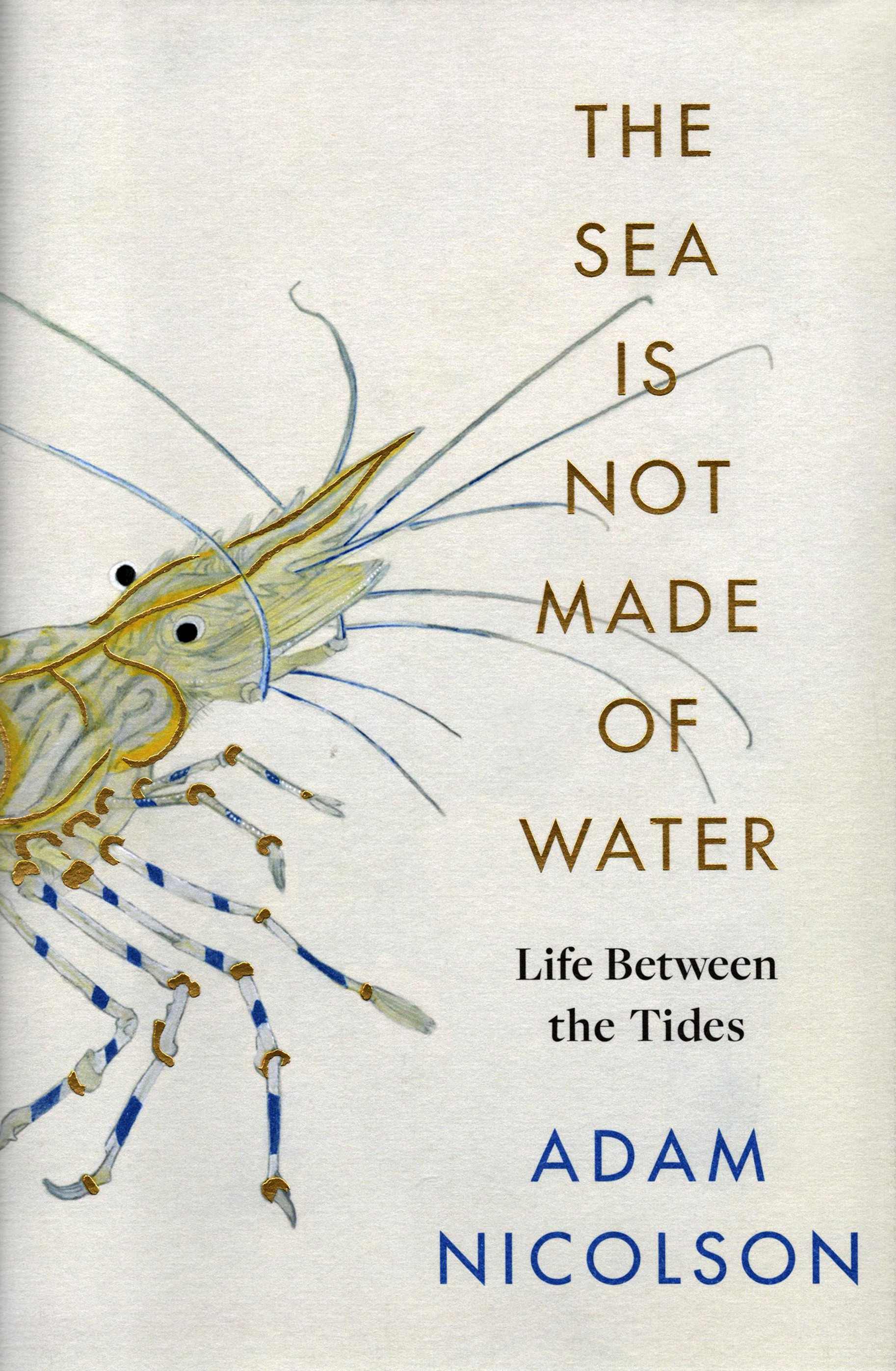 

The Sea is Not Made of Water Life Between the Tides