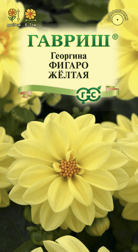 

Семена Георгина Фигаро желтая Гавриш 7 шт