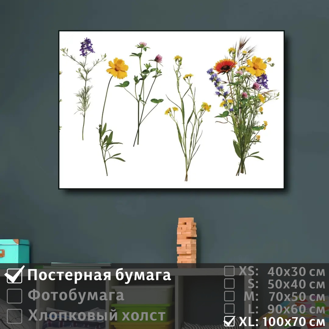 

Постер на стену ПолиЦентр Коллаж из полевых цветов 100х70 см, КоллажИзПолевыхЦветов1