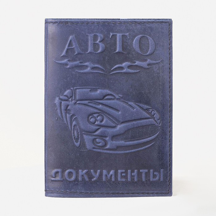 

Обложка для автодокументов RST 742081 голубая, Синий