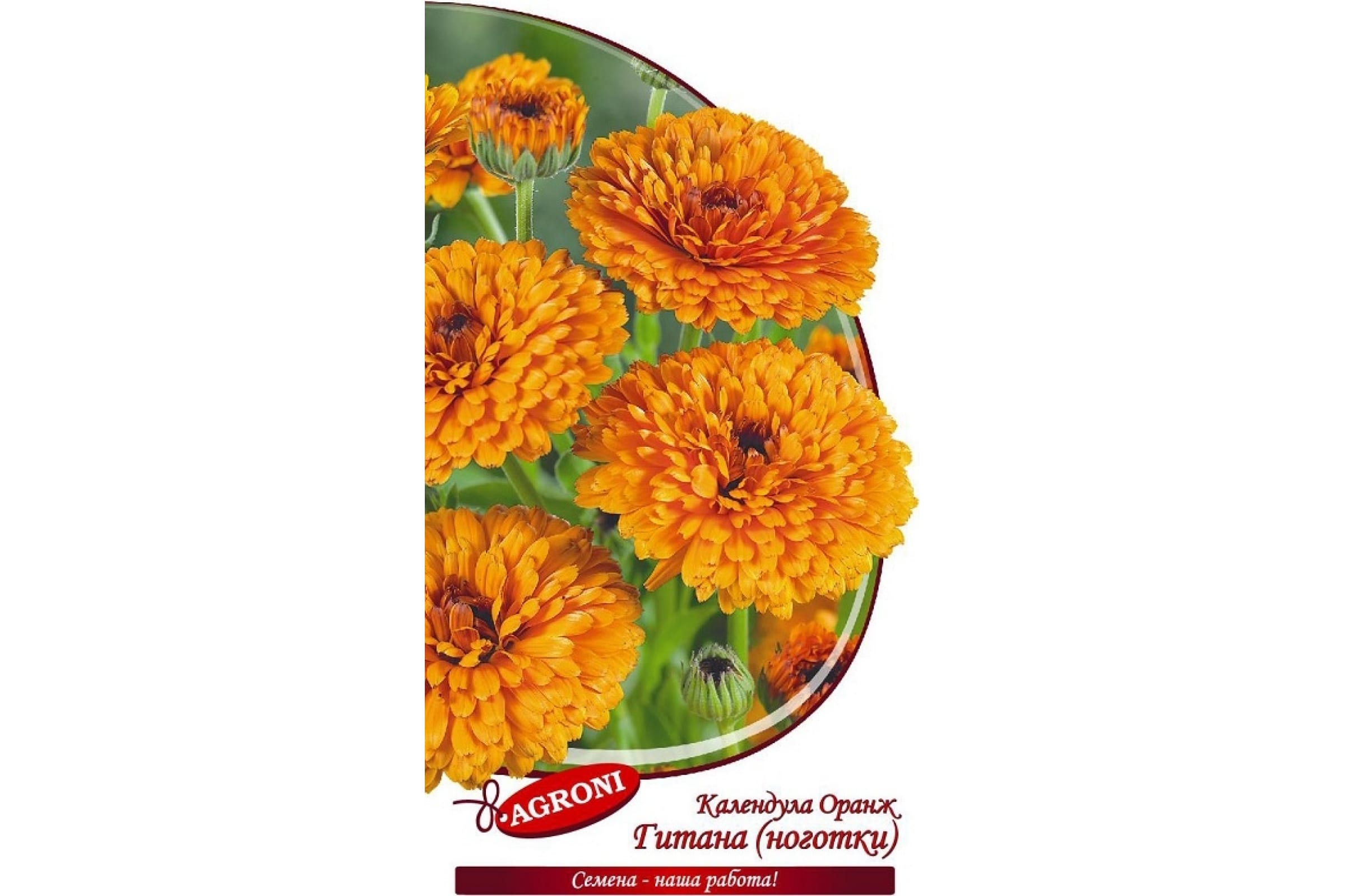 

Семена Agroni Календула Оранж Гитана 0,3 г