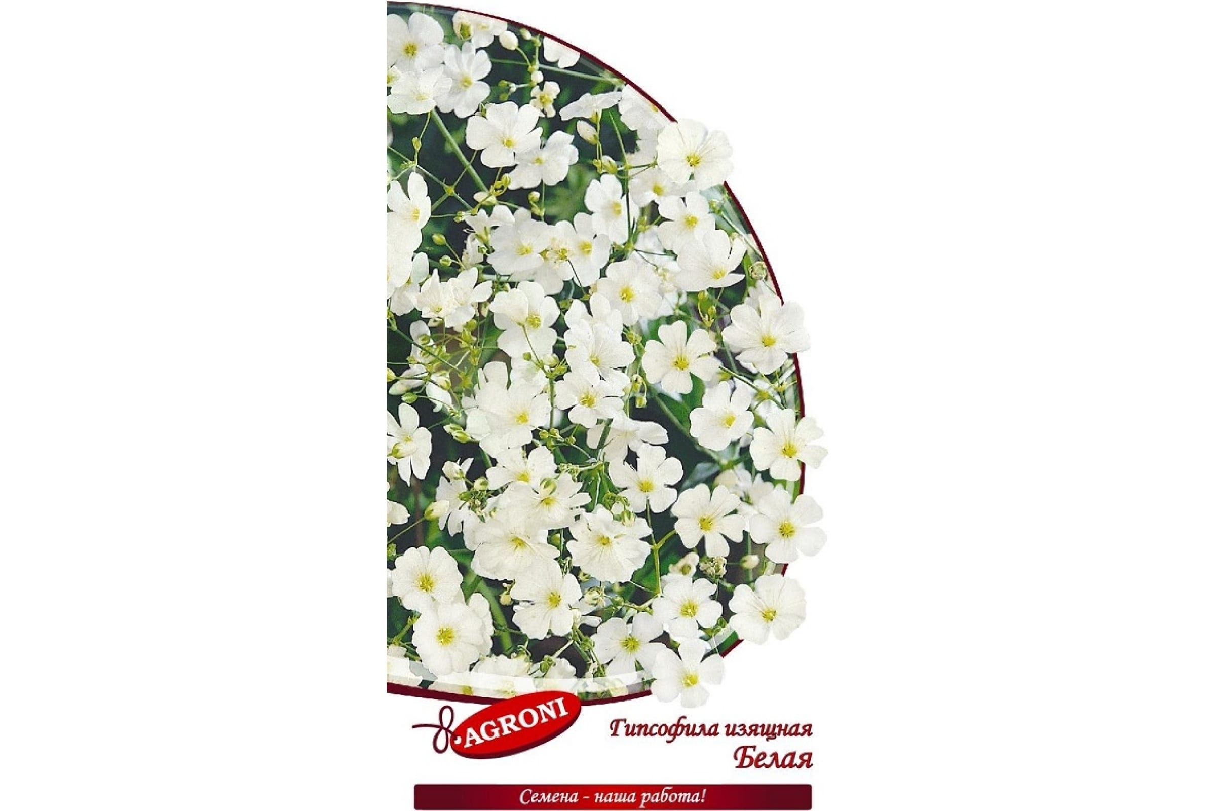 

Семена Agroni Гипсофила белая 0,3 г