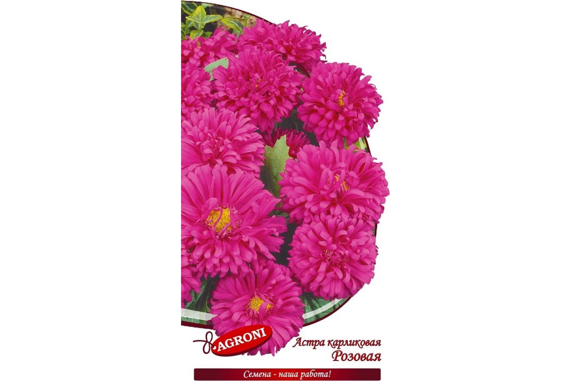 

Семена астра Agroni карликовая Розовая 1 уп.