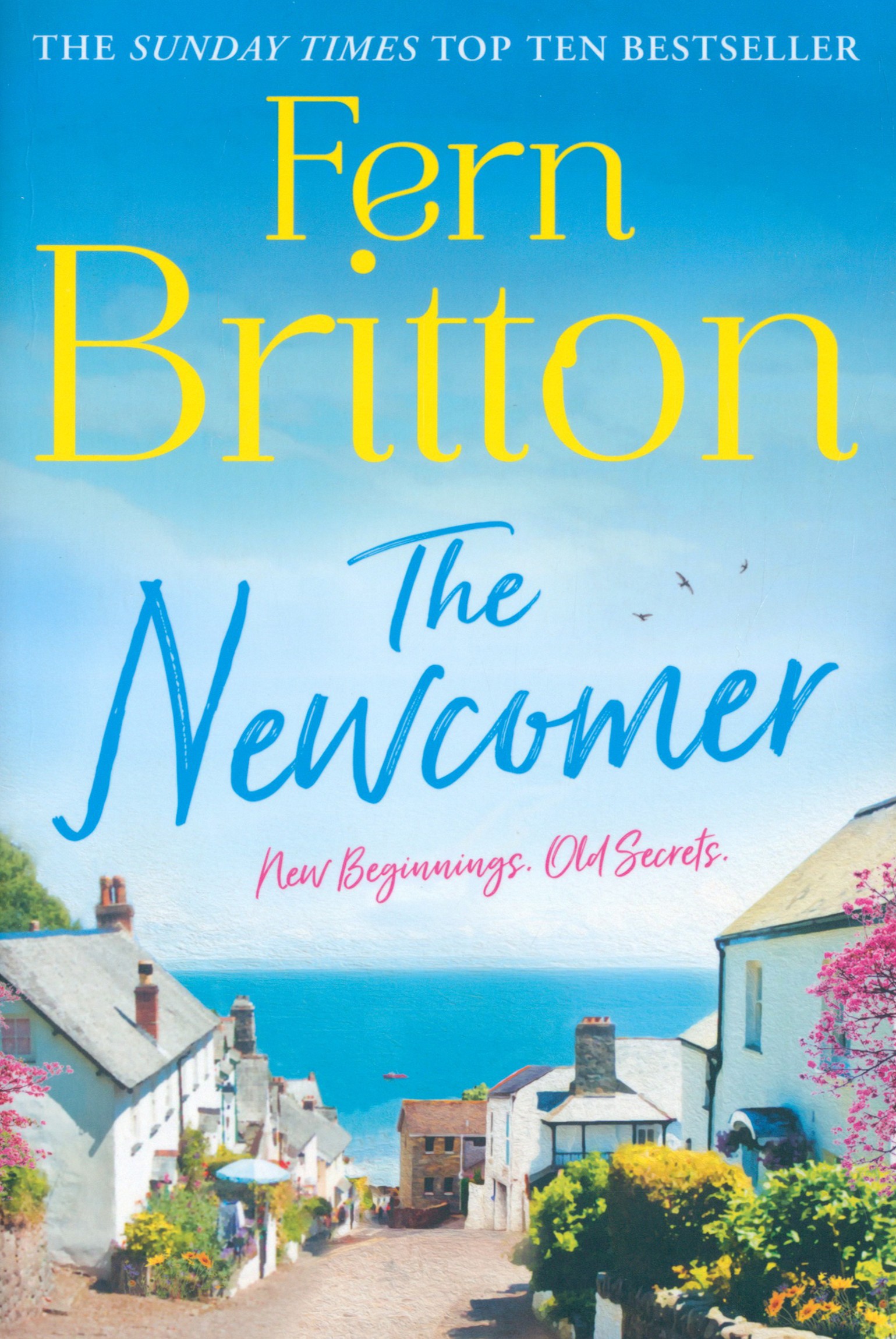 

The Newcomer
