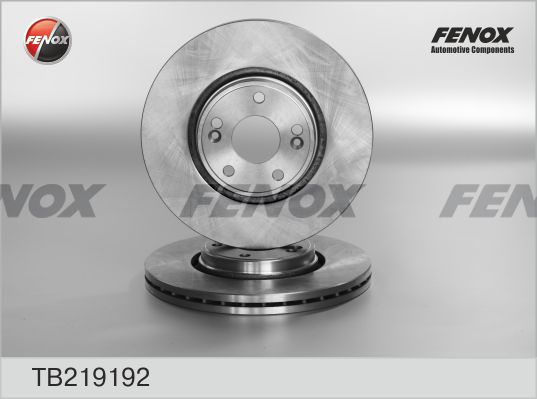 

Тормозной диск FENOX передний для Renault Laguna 2001-2007 TB219192