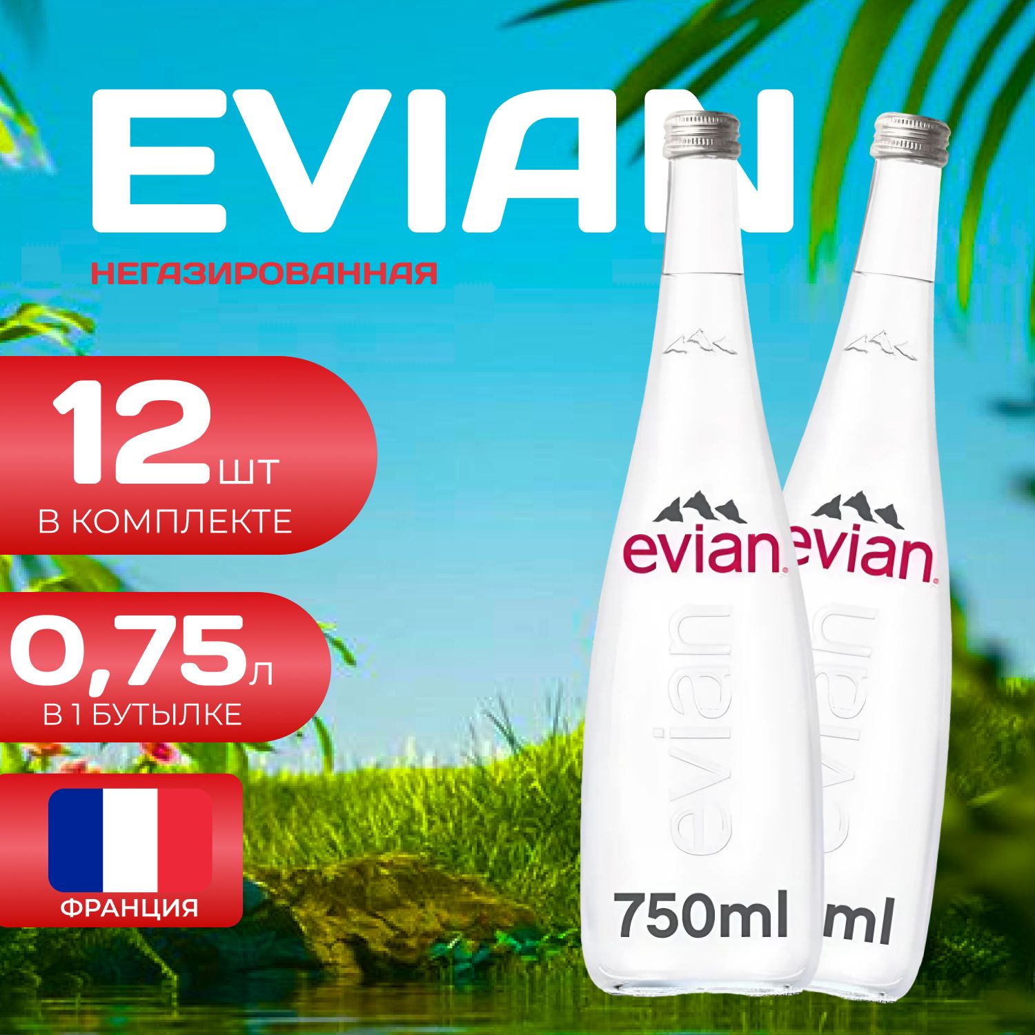 Evian Вода без газа Стекло 0.75л. (12 шт.) Эвиан