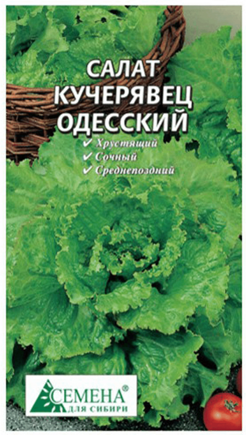 Семена салат Семена для Сибири Одесский кучерявец 1 уп.