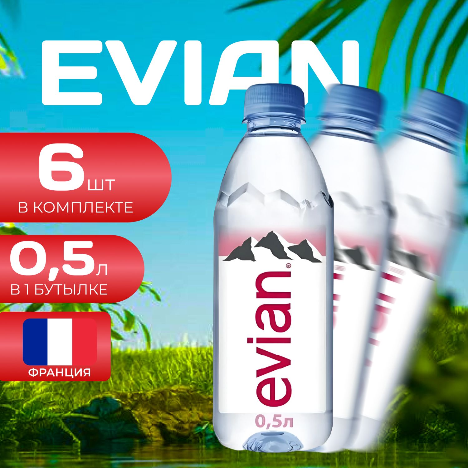 Evian Вода без газа ПЭТ 0.5л. (6 шт.) Эвиан Франция