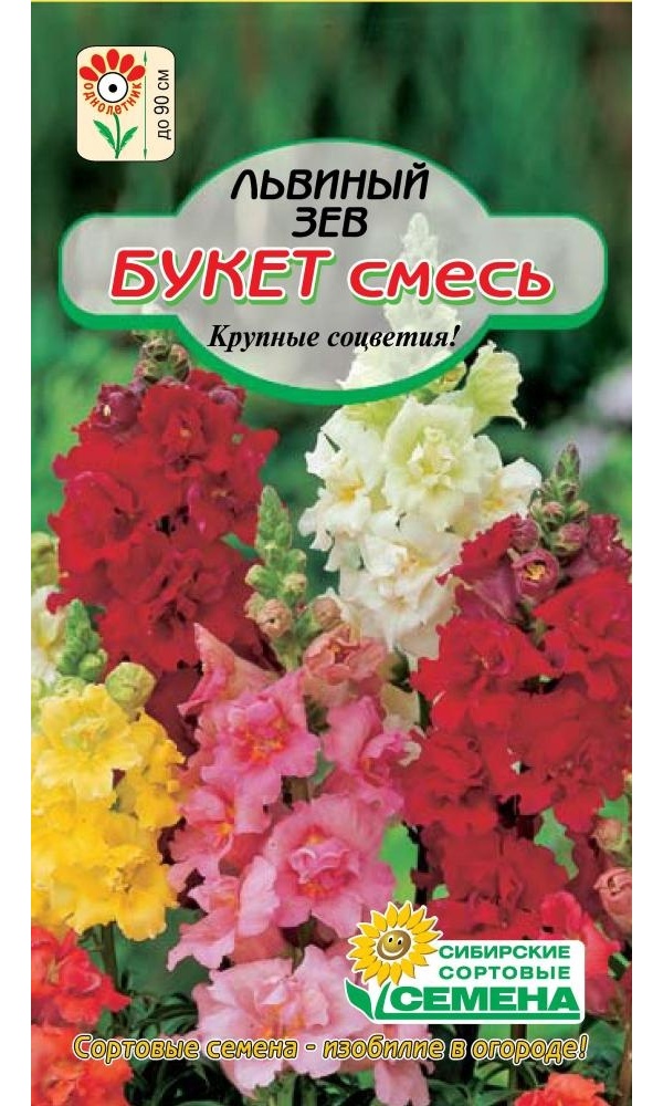 

Семена львиный зев Сибирские Сортовые Семена Смесь окрасок 1 уп.