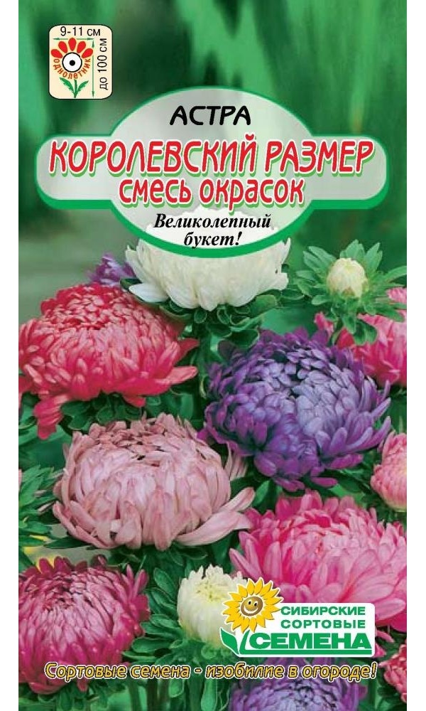 

Семена астра Сибирские Сортовые Семена Королевский размер 1 уп.