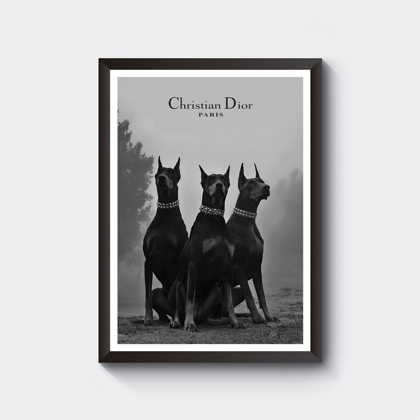 

Картина Prizma Posters Christian Dior 1 BR005, Christian Dior 1