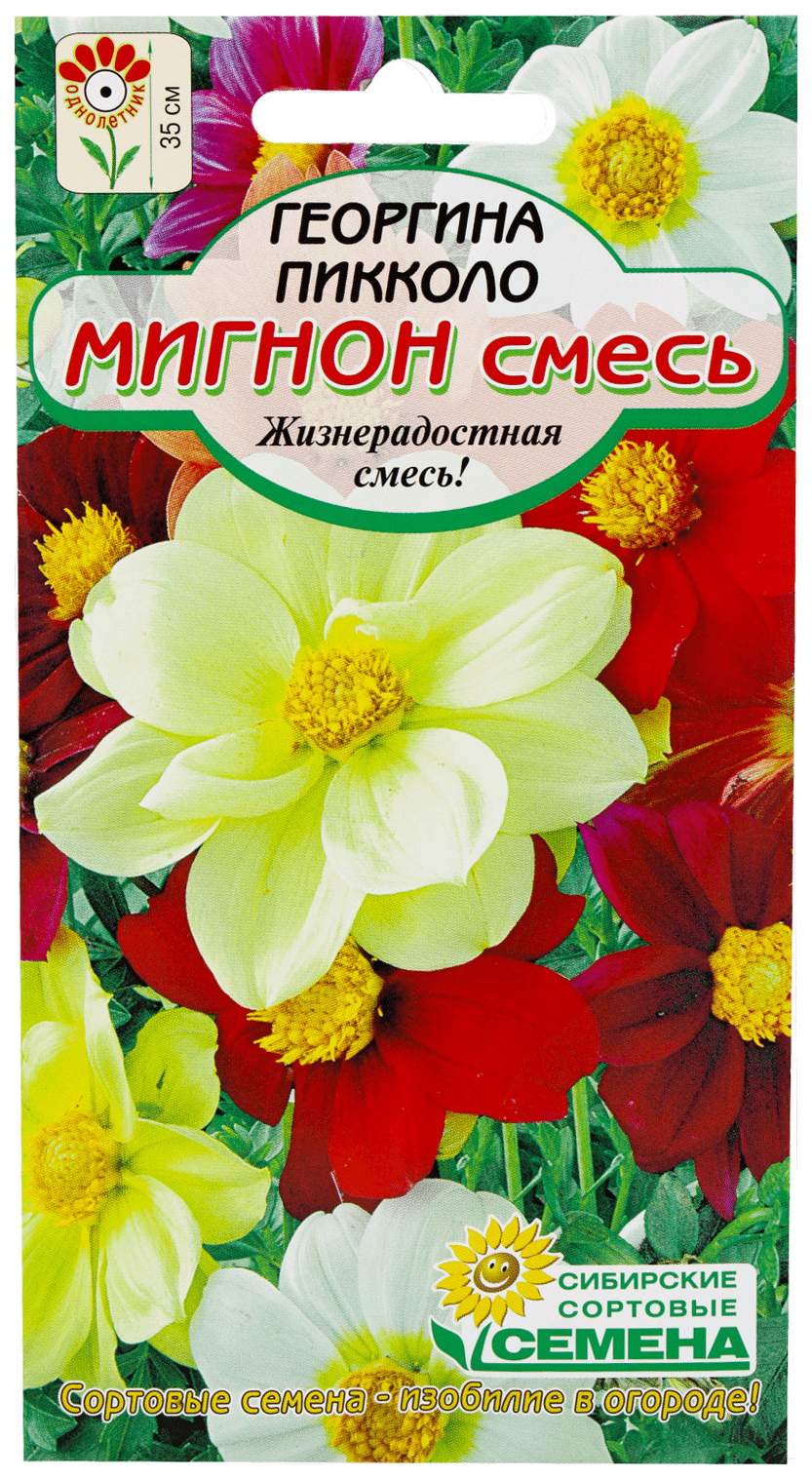 

Семена георгин Сибирские Сортовые Семена Георгин пикколо Мигнон 1 уп.