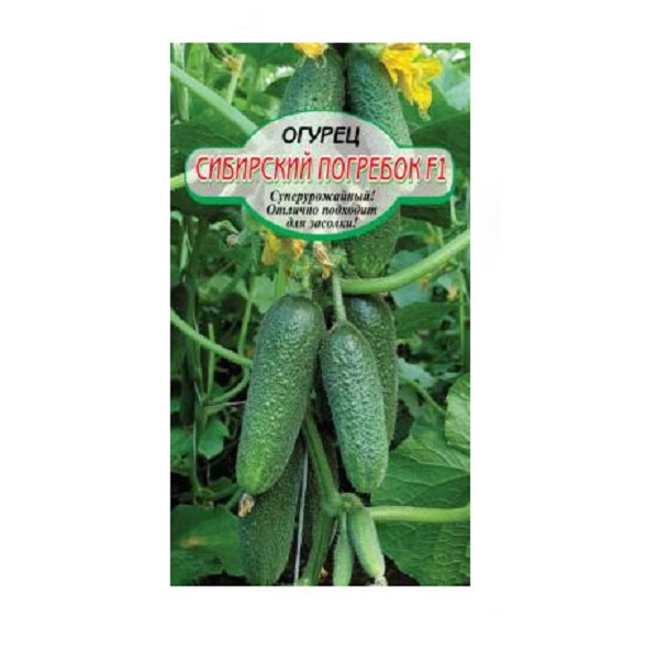 фото Семена сибирские сортовые семена огурец сибирский погребок f1