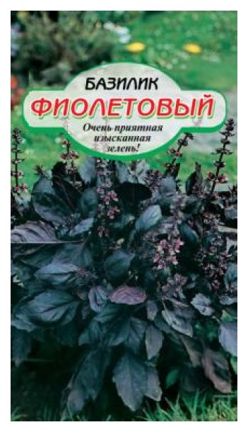 

Семена Сибирские Сортовые Семена Базилик Фиолетовый 0,5 г