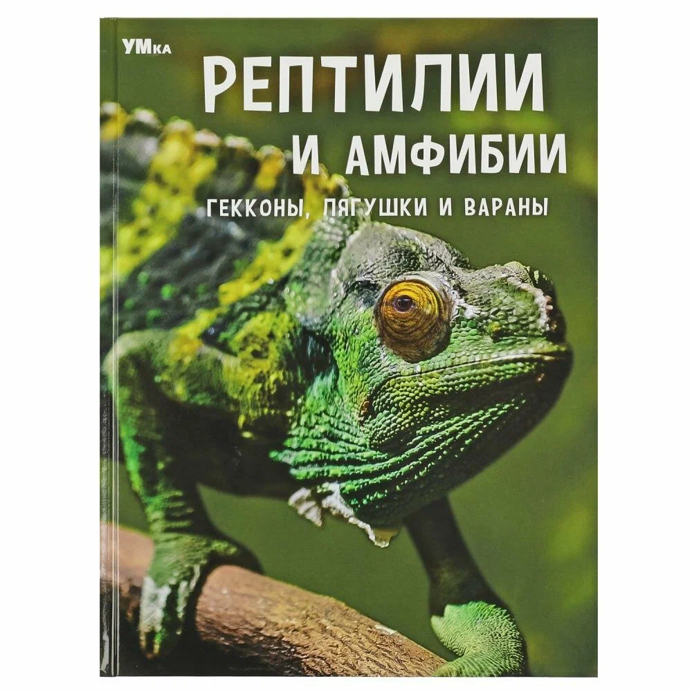 

Рептилии и амфибии. Гекконы, лягушки и вараны. Энциклопедия