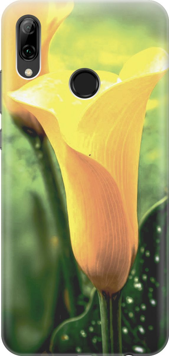 

Чехол на Honor 10 Lite/Huawei P Smart (2019) "Желтые каллы", Желтый;зеленый, 2772