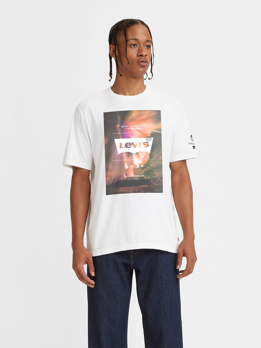 

Футболка мужская Levi's 16143 белая XL, 16143