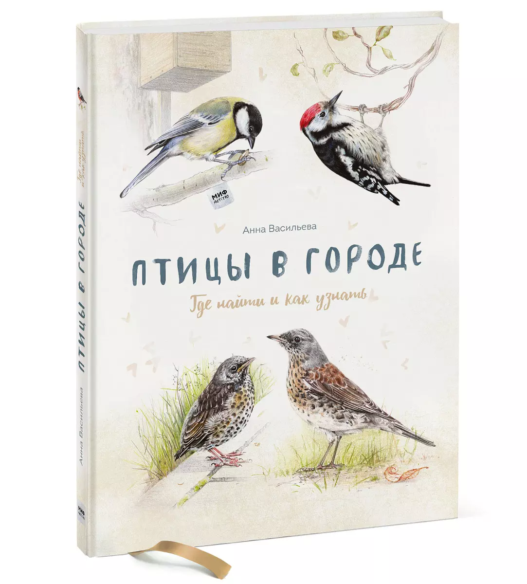 

Птицы в городе. Где найти и как узнать