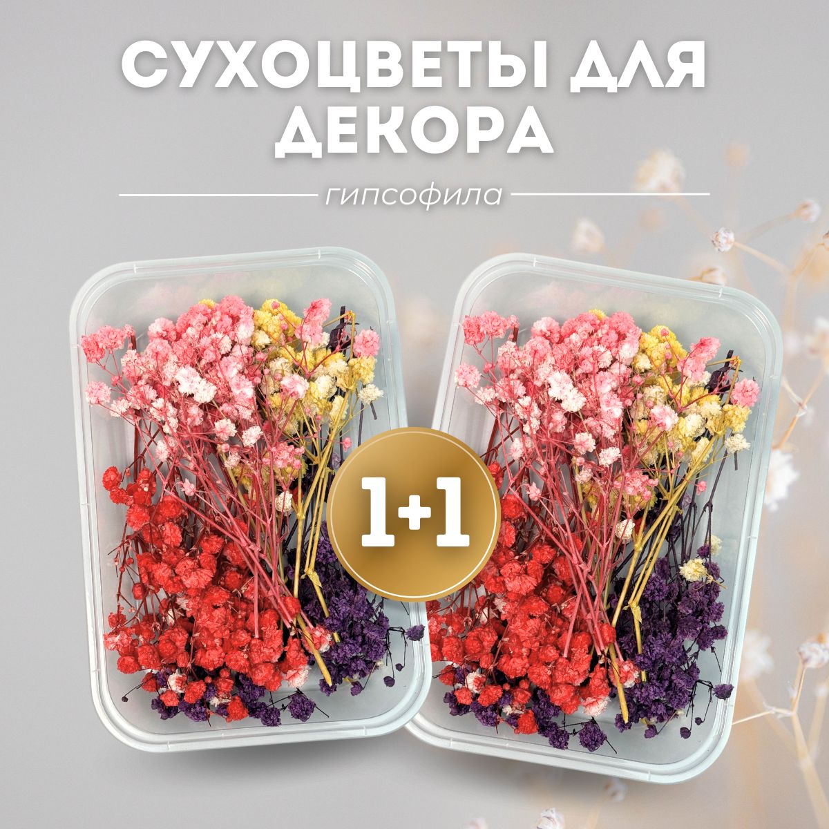 

Сухоцветы EPOXYMASTER гипсофилы, 2 упаковки, разноцветные, Разноцветный, Сухоцветы
